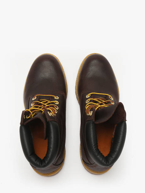 Boots In Leather Timberland Brown men 2P6WEXU1 other view 3