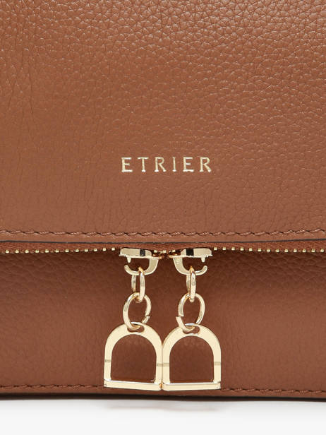 Sac Bandoulière M Tradition Cuir Etrier Marron tradition ETRA059M vue secondaire 5