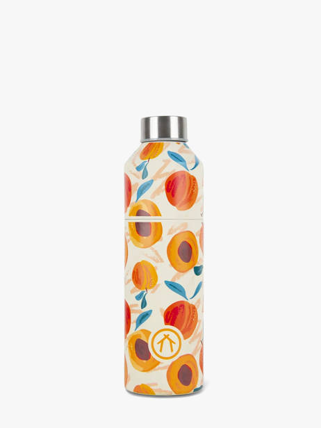 Gourde Cabaia Multicolore bottle BOTTLE63